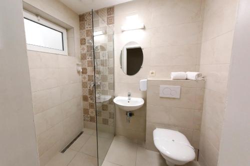 a bathroom with a toilet and a sink and a mirror at Hotel de France in Brussels