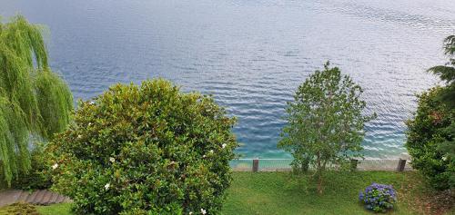 a view of a body of water with two trees at Beautiful Place a Lago d'Orta mit direktem Seezugang in Omegna