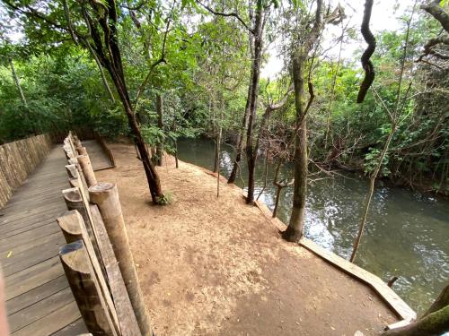 a wooden boardwalk next to a river with trees at Flat 303 - Condomínio Park Veredas - Acesso ao Rio - Completo com ar no quarto e na sala in Rio Quente