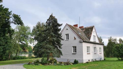 a white house with a tree in the yard at Nasz Dębowiec - dom dla 15 osób, sauna, widok na staw, wielka działka in Dębowiec