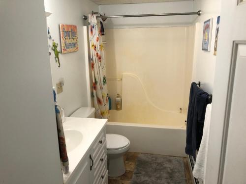 a bathroom with a toilet and a sink and a tub at Copperville B & B in Glennallen
