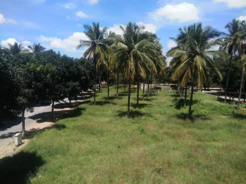 Jardín al aire libre en Avi Fortune Suites - Near Bangalore International Airport