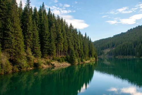 a view of a river with trees on the shore at camping aviator, numai TEREN, campare pentru rulote autorulote PERSONALE, Campingul nu are rulote !!! Busteni in Buşteni