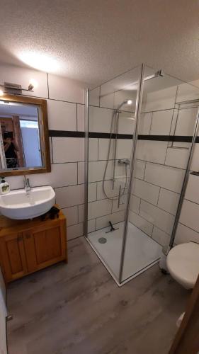 a bathroom with a shower and a sink and a toilet at Berner Oberland Am Thunersee in Därligen