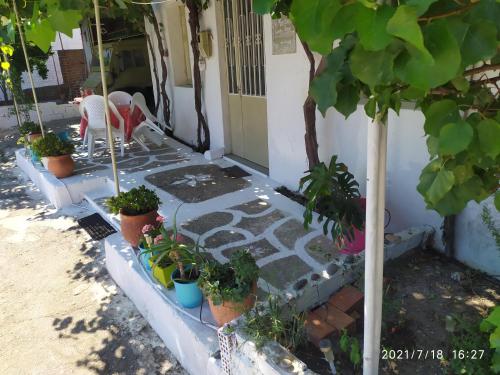 Сад в MARITSA COUNTRY HOME