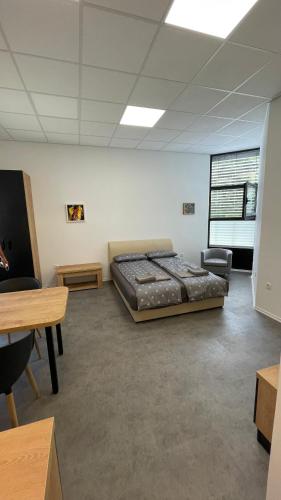 ein Schlafzimmer mit einem Bett in der Mitte eines Zimmers in der Unterkunft Simba Apartment B in Smarjeske Toplice
