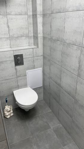a bathroom with a white toilet in a room at Simba Apartment B in Smarjeske Toplice