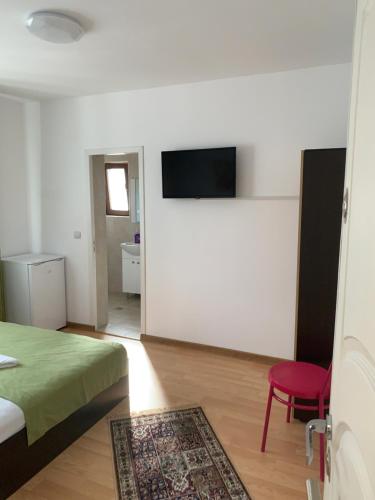 a room with a bed and a tv on a wall at Casa Roa in Slănic