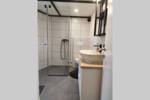 La salle de bains est pourvue d'un lavabo et d'une douche. dans l'établissement Bovec Loft apartment, à Bovec