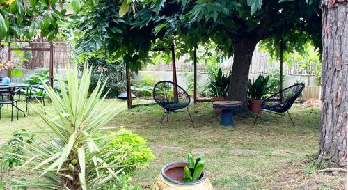 a garden with chairs and a table and a tree at B&B du Couvent, vue château in Giroussens