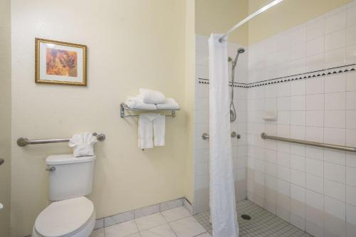 Ένα μπάνιο στο Clarion Inn & Suites Central Clearwater Beach