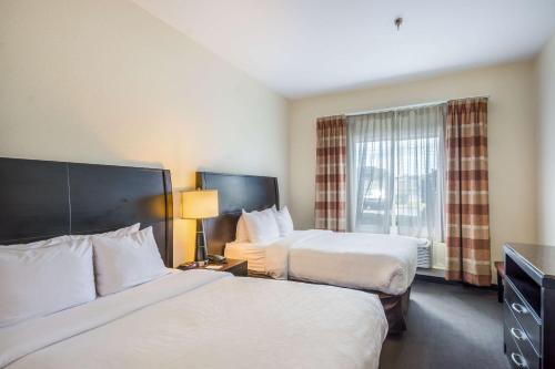 Ένα ή περισσότερα κρεβάτια σε δωμάτιο στο Clarion Inn & Suites Central Clearwater Beach