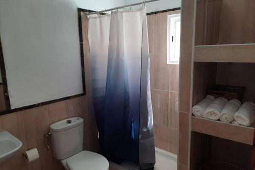 baño con aseo y cortina de ducha azul en Casa Rural Los Cipreses. Cercados de Araña, en San Bartolomé