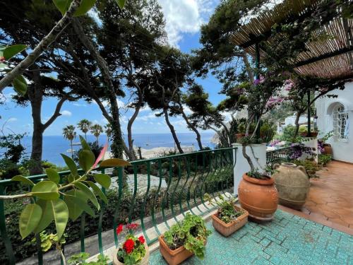 TERRAZZA MARE marina piccola – Photos 4