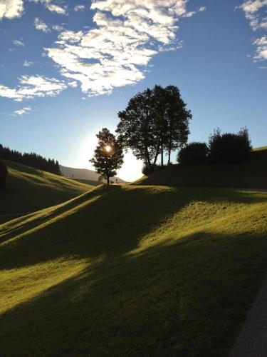 two trees on a grassy hill with the sun setting at Silber Lodge im Wiesenstein in Auffach