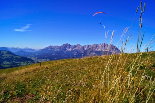 a person is flying a kite on a grassy hill at Silber Lodge im Wiesenstein in Auffach