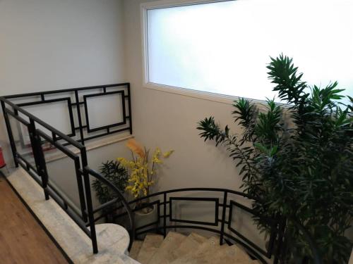a room with a staircase with plants and a window at Hostel More SP in Sao Paulo