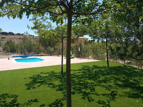 un patio verde con piscina y árboles en Casas Rurales Campolibre, en Masegoso