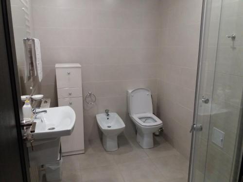 a bathroom with a sink and a toilet and a shower at Spirii house in Braşov