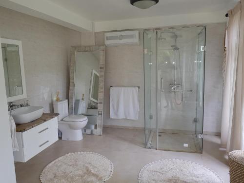 a bathroom with a shower and a toilet and a sink at SOUTH HILL VILLA in Mahe