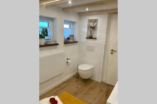 a white bathroom with a toilet and a shower at Haus Engelbert in Höchheim