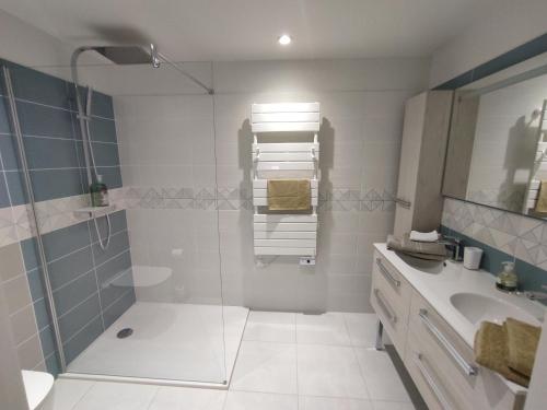 a bathroom with a shower and a sink at La Maison d Eva in Tombeboeuf
