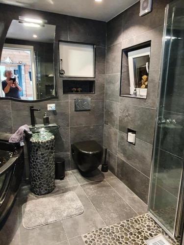 a bathroom with a toilet and a sink and a shower at Småstranda Fjord Lodge in Åheim