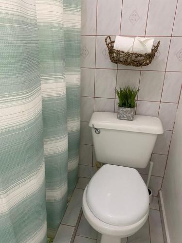 a bathroom with a toilet and a basket of towels at El Castillo Tropical in Cabrera