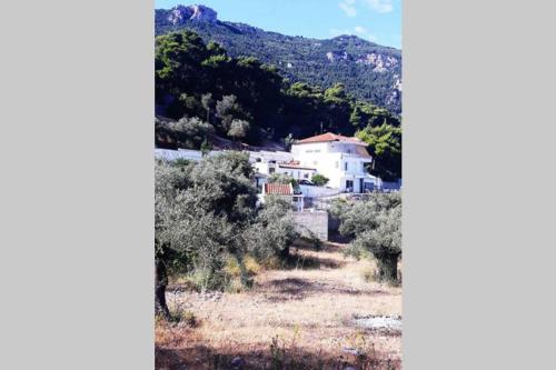 a white house on a hill with trees at Ioannidis apartment in Psatha