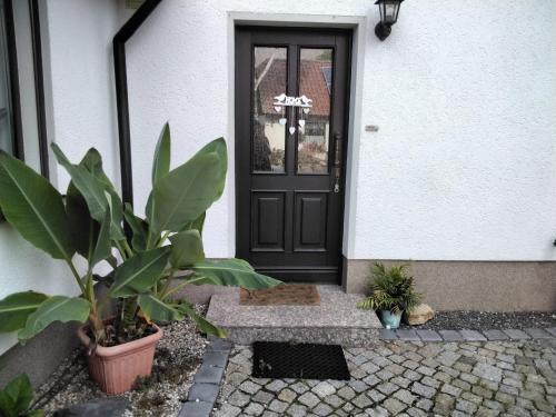 a black door with plants in front of a house at Pusteblume in Groitzsch