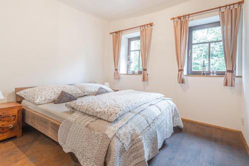a bedroom with a bed and two windows at Buškovský mlýn 1580 in Dolní Bousov