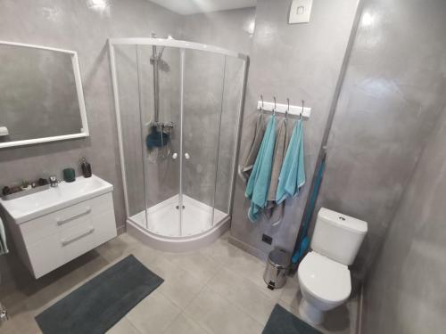 een badkamer met een douche, een toilet en een wastafel bij Kalvāni in Mērsrags