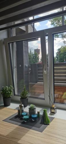 a room with a large window with plants on a rug at Kalvāni in Mērsrags