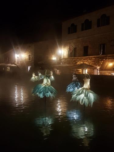 a group of birds in the water at night at Dimora in San Quirico d'Orcia in San Quirico dʼOrcia