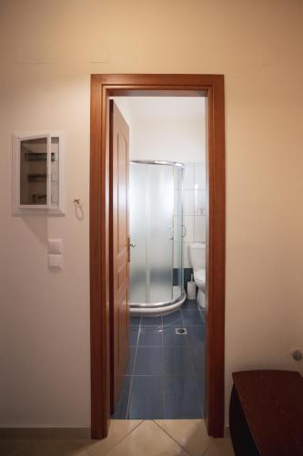 a bathroom with a walk in shower and a toilet at VILLA KAROLINA Tsogkas in Syvota