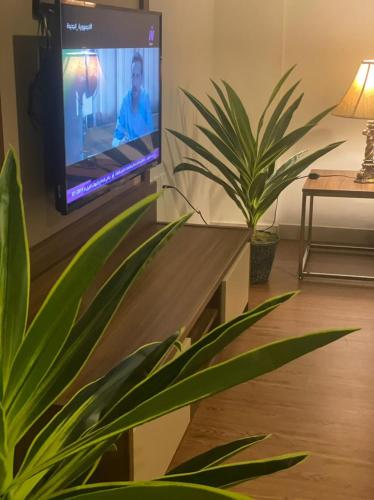 a living room with a tv and a potted plant at Swiss Blue Hotel Apartments in Jazan