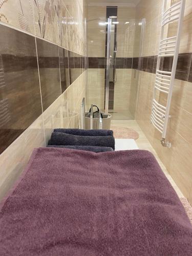 Bilik mandi di Délibáb Wellness Vendégház