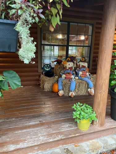 a group of teddy bears sitting on a porch at Crown Lake Resort in Horseshoe Bend