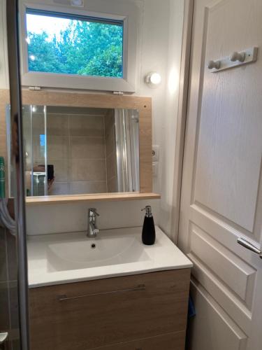uma casa de banho com um lavatório, um espelho e uma janela em Residence Labrège T2Duplex Spa Piscine em Sargé Les Le Mans 
