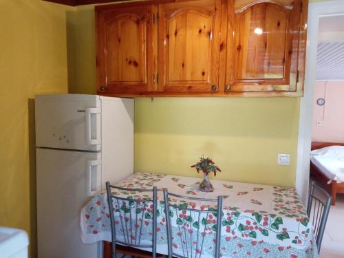 a small kitchen with a table and a refrigerator at Akis Garden in Anemómylos