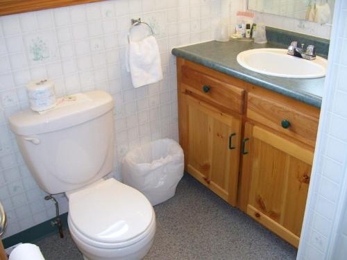 a bathroom with a toilet and a sink at Admiral Digby Inn Restaurant and Cottages in Digby