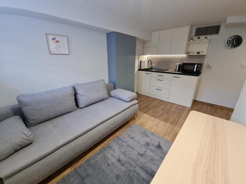 a living room with a couch and a kitchen at Apartament Łąki18 in Wadowice