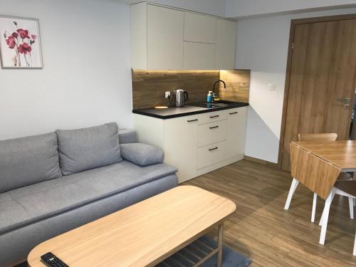 a living room with a couch and a kitchen at Apartament Łąki18 in Wadowice
