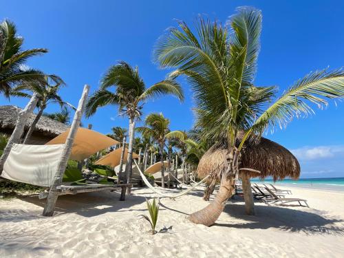 a beach with chairs and palm trees and the ocean at Sueños Tulum in Tulum