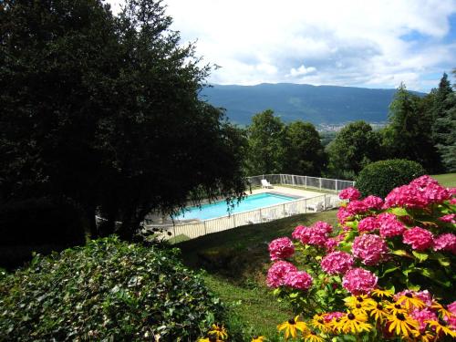 - une piscine avec des fleurs roses dans la cour dans l'établissement Apartment in Serrières near French Alps Skiing, à Serrières-en-Chautagne