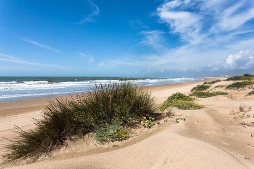 a sandy beach with some plants and the ocean at Fantástico ático con terraza, garaje, wifi, con todo para playa, piscina y casa y no facturar maletas! in El Portil
