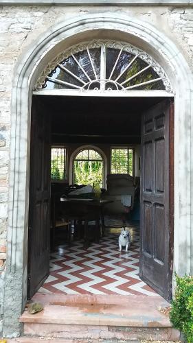 un chat assis devant une porte ouverte avec un piano dans l'établissement Relaxing Retreat in Rural Italy B&;B, à Maranello