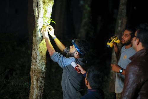 a man is putting a plant on a tree at Wayanad Wild - A CGH Earth Experience in Vythiri