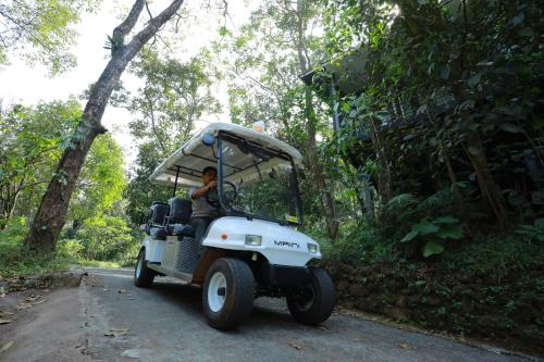 a man driving a golf cart on a road at Wayanad Wild - A CGH Earth Experience in Vythiri