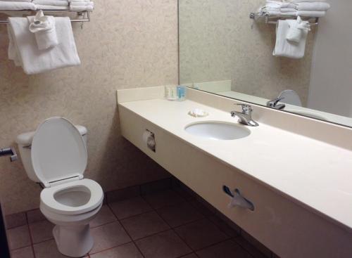 a bathroom with a toilet and a sink with a mirror at Bayside Hotel of Mackinac in Mackinaw City